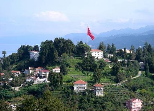 turkiye/rize/rize-merkez/newarise-hotel_16bb7794.jpg