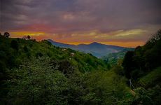 turkiye/rize/rize-merkez/suarmabungalov_22943d87.jpg