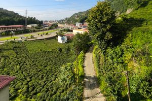 turkiye/rize/rizemerkez/1721832030115c0332ffc11af4692a771c3e29558d007.jpg
