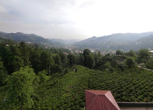 turkiye/rize/rizemerkez/img_20230609_0708396e8fdf35a18441f9912ebe41a44229e7.jpg