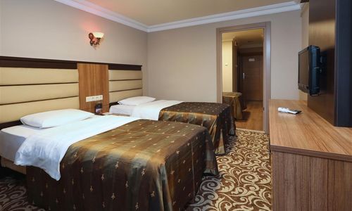turkiye/sakarya/adapazari/balturk-otel-sakarya-8b1d24df.jpg