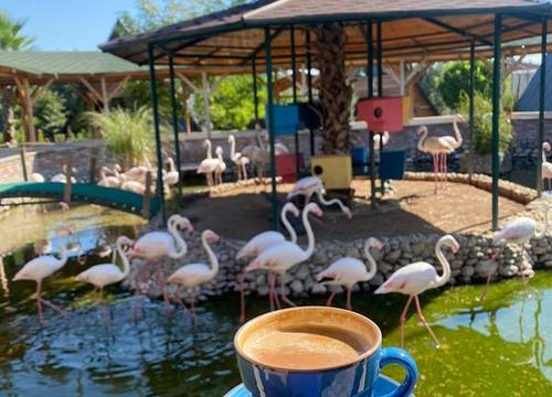 turkiye/sakarya/pamukova/flamingopark_14e798a9.jpg