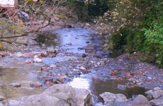 turkiye/sakarya/sapanca/14d7f3f32e02423ca81fba5ffcdd1727copycopy324c3b9c42fc424087dd417bd6a6e1f1.jpg