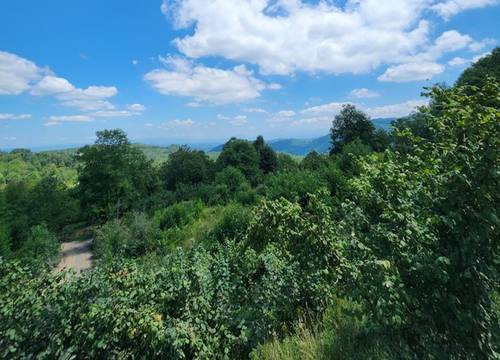 turkiye/sakarya/sapanca/1a991663351c4c0d9dbd6e6a5e43493502d80df8d12e45c7b0aedb916408964b.jpg