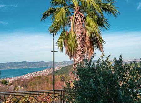 turkiye/sakarya/sapanca/9-pearl-villas_d7be8bc6.jpg