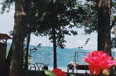 turkiye/sakarya/sapanca/alcedo-bungalov_8c88ab15.jpg