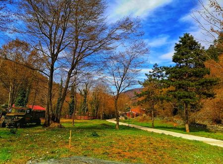 turkiye/sakarya/sapanca/feel-live-hotel_2ba581aa.jpg