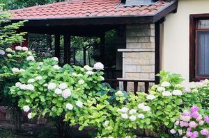 turkiye/sakarya/sapanca/garden-cebeci-villa_23242208.jpg