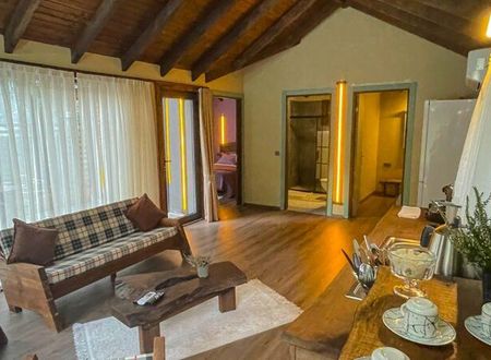 turkiye/sakarya/sapanca/gri-tiny-house_44cf4dfe.jpg