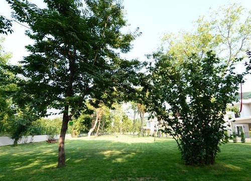 turkiye/sakarya/sapanca/guzel-evler-family-resort_4937524c.jpg