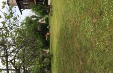 turkiye/sakarya/sapanca/hurel-kosku_4e144d5c.jpeg