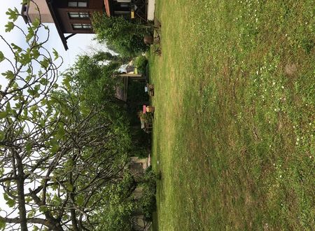 turkiye/sakarya/sapanca/hurel-kosku_4e144d5c.jpeg