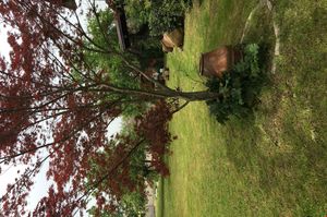turkiye/sakarya/sapanca/hurel-kosku_d599f05b.jpeg