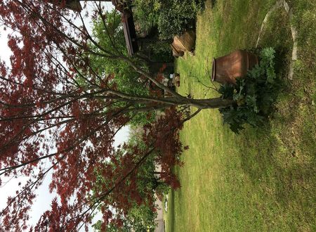turkiye/sakarya/sapanca/hurel-kosku_d599f05b.jpeg