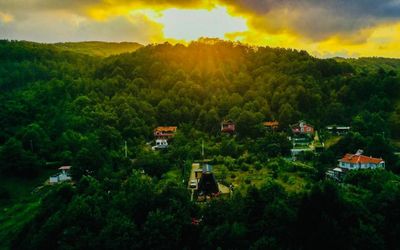 Sapanca Safari Bungalov · 4