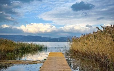 Sapanca Gusto Bungalov · 2