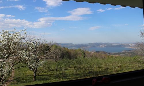 turkiye/sakarya/sapanca/img_6588b03f34187b984e8aaa1a514f52e5697a.jpg