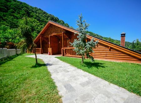 turkiye/sakarya/sapanca/naturkoy-bungalov_0a89969e.jpg