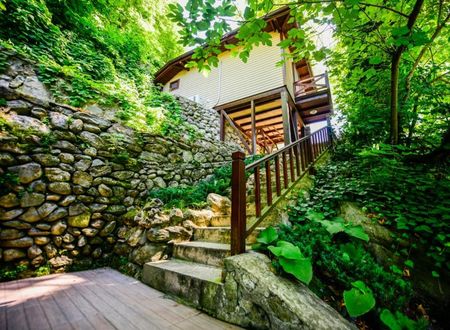 turkiye/sakarya/sapanca/naturkoy-bungalov_3186b2cf.jpg