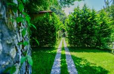 turkiye/sakarya/sapanca/naturkoy-bungalov_7f44cb89.jpg