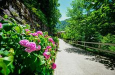 turkiye/sakarya/sapanca/naturkoy-bungalov_ba4ccf49.jpg