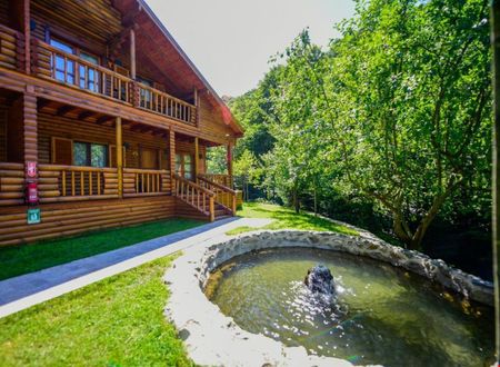 turkiye/sakarya/sapanca/naturkoy-bungalov_ebcae65b.jpg