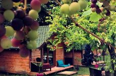 turkiye/sakarya/sapanca/osso-garden-bungalow_5c99e0f3.jpg