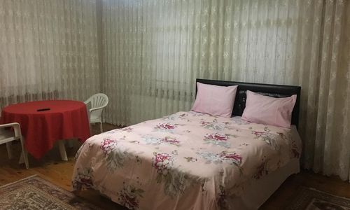 turkiye/sakarya/sapanca/penguen-hostel-42992502.jpg