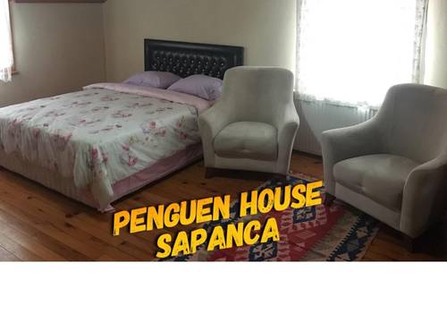 turkiye/sakarya/sapanca/penguen-hostel_46ee180b.jpg