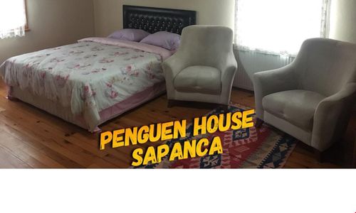 turkiye/sakarya/sapanca/penguen-hostel_46ee180b.jpg