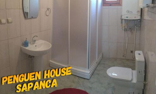 turkiye/sakarya/sapanca/penguen-hostel_79783357.jpg