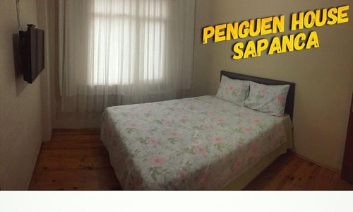 turkiye/sakarya/sapanca/penguen-hostel_90472e9b.jpg