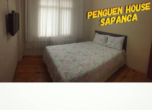 turkiye/sakarya/sapanca/penguen-hostel_90472e9b.jpg