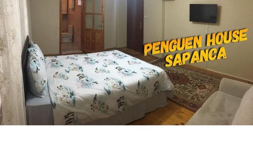 turkiye/sakarya/sapanca/penguen-hostel_e7a30ecb.jpg