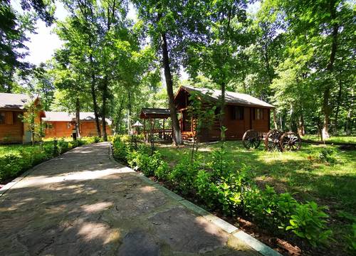turkiye/sakarya/sapanca/sapanca-bungalov-orman-evleri_f4abc3b9.jpg