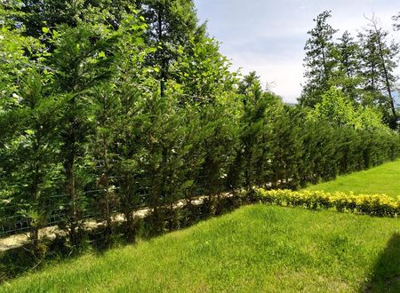 turkiye/sakarya/sapanca/sapanca-villa-natura-papatya-55809be7.jpg