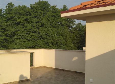 turkiye/sakarya/sapanca/sapanca-villa-natura-papatya-e0dba639.jpg