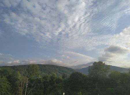 turkiye/sakarya/sapanca/sapanca-villa-natura-papatya_7cc14372.jpg