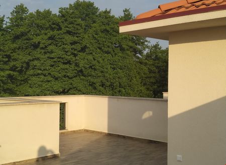 turkiye/sakarya/sapanca/sapanca-villa-natura-papatya_dce3a4a8.jpg