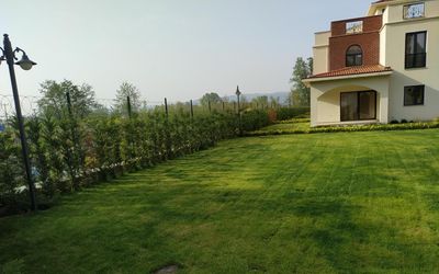 Sapanca Villa Natura Papatya · 3