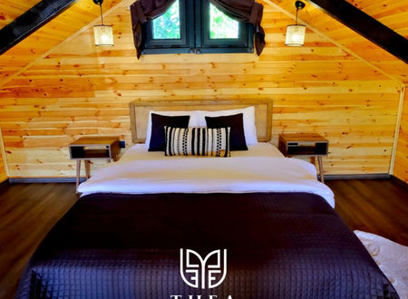 turkiye/sakarya/sapanca/thea-sapanca-bungalov_f7d1fcf8.jpg