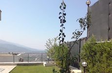 turkiye/sakarya/sapanca/villa-sawsana-c4_b387e0c1.jpg