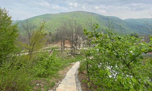 turkiye/sakarya/sapanca/whatsappimage20220426at16.37.3721172a29b38f9487fbcba8c468e663af6.jpg