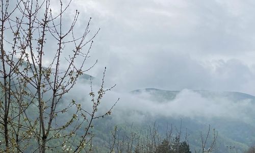 turkiye/sakarya/sapanca/whatsappimage20220426at16.37.373e1f1bdc2497f415f8f05ae225b018228.jpg