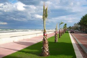 turkiye/samsun/atakum/myway-akademi-otel_05ff180c.jpg
