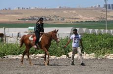 turkiye/sanliurfa/sanliurfa-merkez/gobeklitepe-cadirsaray_3c3a4ab7.jpg