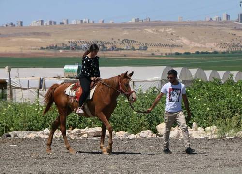 turkiye/sanliurfa/sanliurfa-merkez/gobeklitepe-cadirsaray_3c3a4ab7.jpg