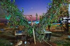 turkiye/sanliurfa/sanliurfa-merkez/gobeklitepe-cadirsaray_b43d0579.jpg