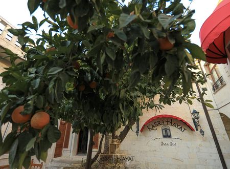 turkiye/sanliurfa/sanliurfa-merkez/kasri-hayat-butik-otel_f01e9b8f.jpg