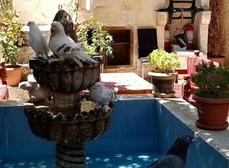 turkiye/sanliurfa/sanliurfamerkez/sark-ciragan-konak-butik-otel-f3223327.jpg